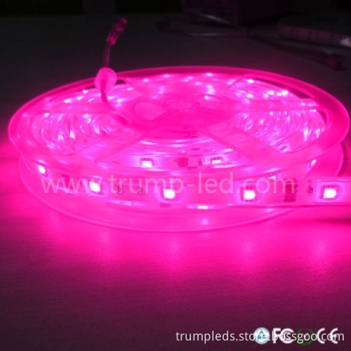 Flexible Multicolor SMD LED Strip Lights Waterproof 12V IP65 RGB